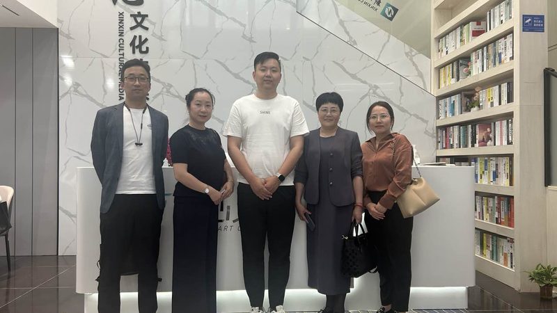 纪录片拍摄分镜头脚本：撰写指南与关键要素