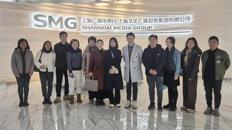 成都新品牌设计：揭秘高效设计步骤